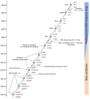 The Slowest Shared Resonance: A Review of Electromagnetic Field Oscillations Between Central and Peripheral Nervous Systems